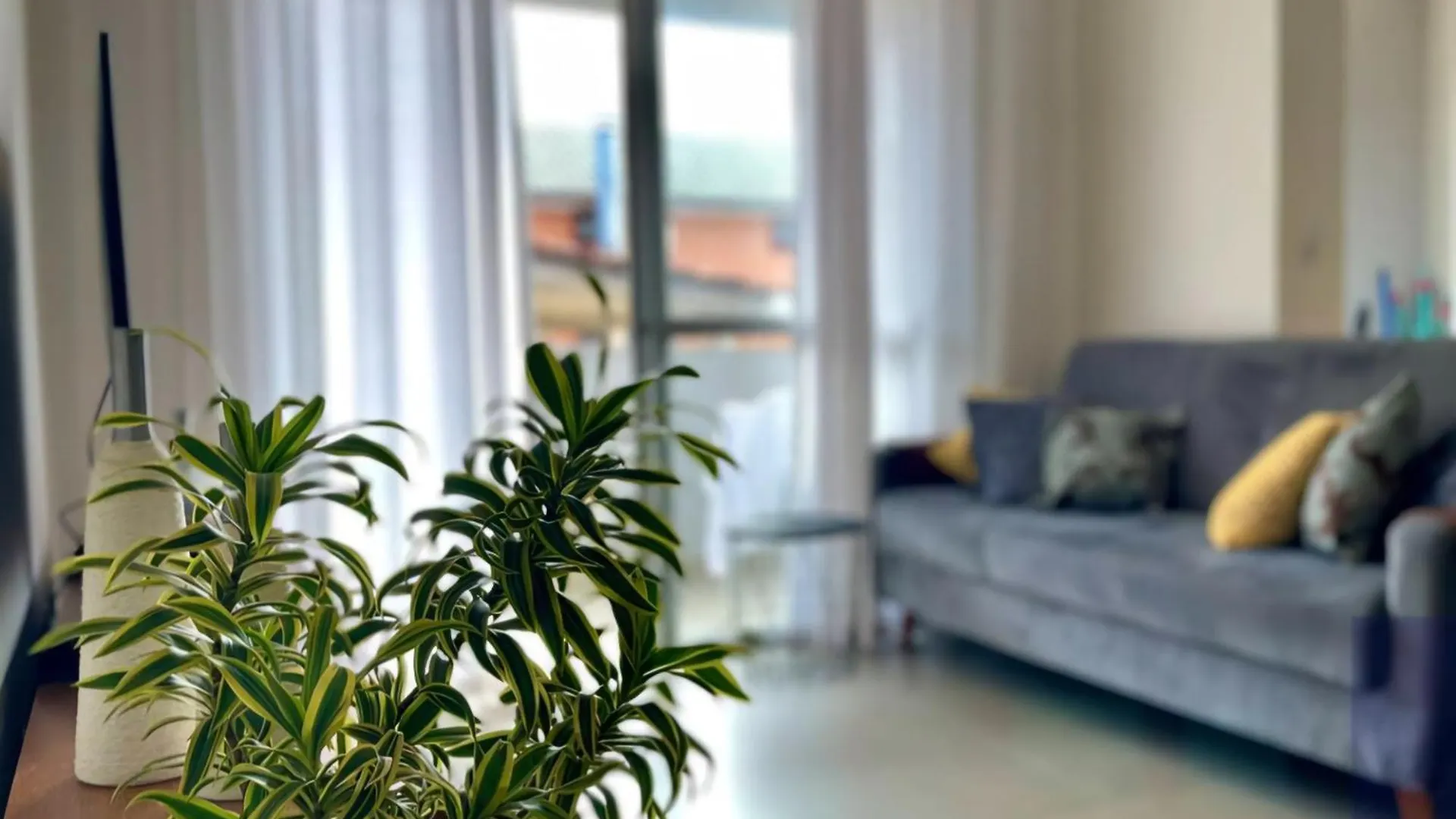Apartamento Amplo 200M Da Praia Otima Localizacao Florianopolis